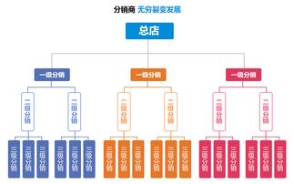 皇后新妆面膜系统开发 企业级软件解决方案的创新与实践